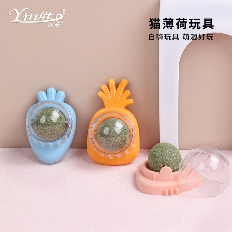 颖特猫薄荷球猫玩具 虫瘿果 宠物玩具宠物用品猫薄荷厂家批发直销
