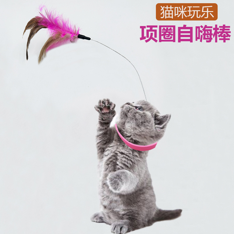 新品项圈逗猫棒自嗨解闷猫咪玩具套脖项圈羽毛铃铛猫玩具宠物用品
