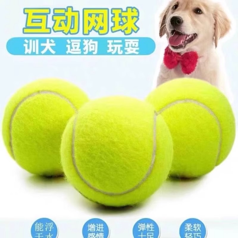 狗狗玩具球自嗨解闷玩具宠物边牧金毛柯基耐咬球训练磨牙橡胶网球
